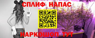 крисы Бузулук