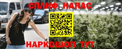 крисы Бузулук