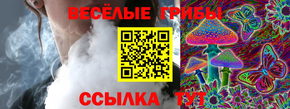 Псилоцибиновые грибы мицелий Новоалександровск