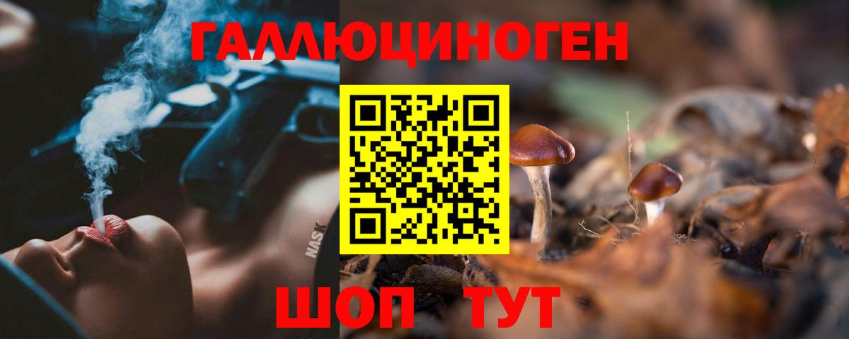 Псилоцибиновые грибы Psilocybe  Вход с VPN  Псилоцибиновые грибы GOLDEN TEACHER  Новоалександровск 